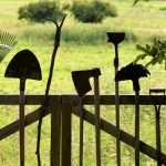 Planting perennials and shrubs