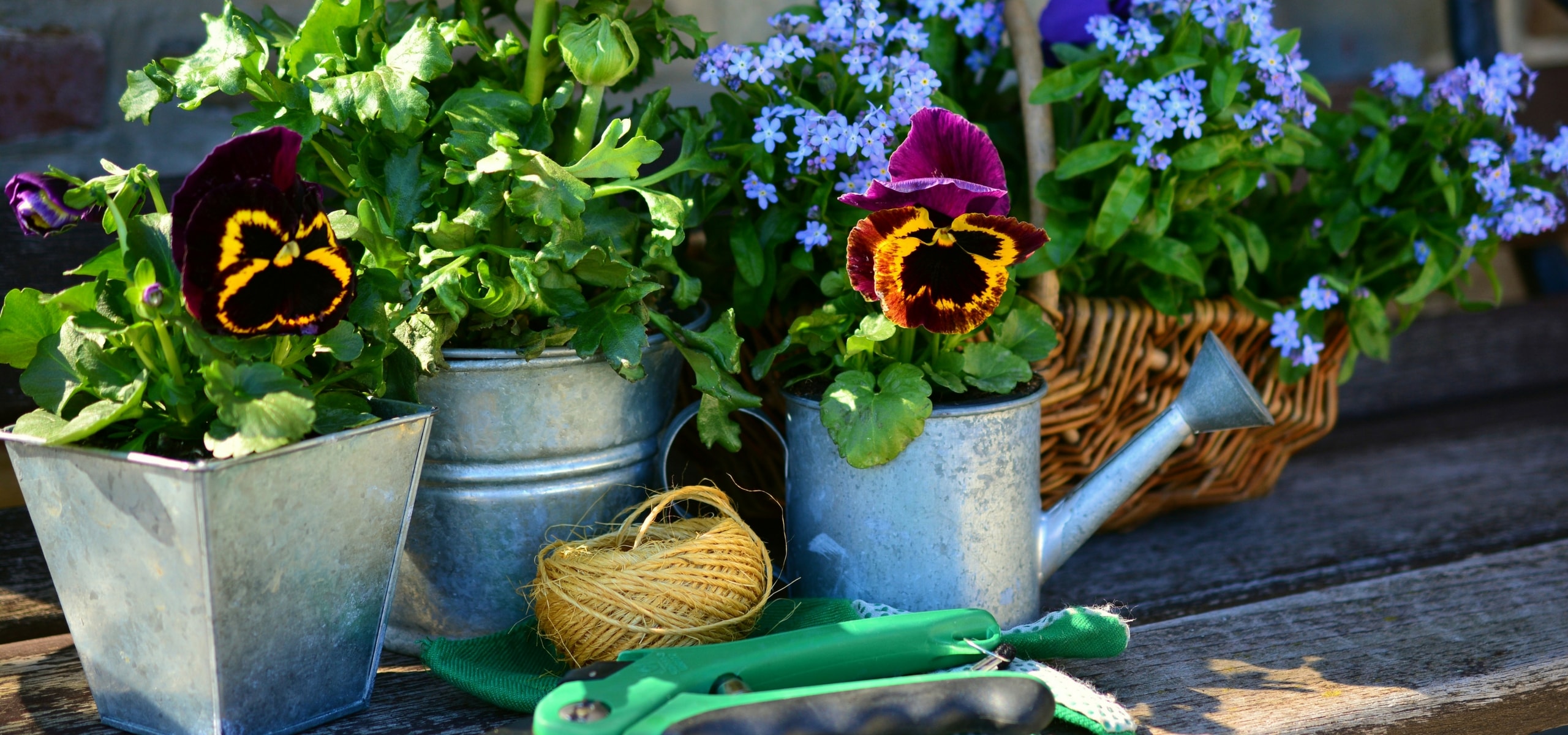 Each season has its gardening