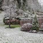 Cold weather is coming, protect your plants!