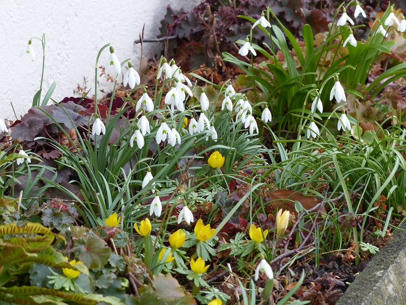 Winning duo in white and yellow