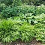 Graphic bed for cool shade