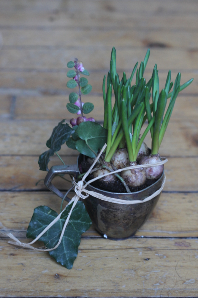 Bulbs and recycling idea for early flowers