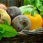 Square gardening: an easy and productive method to grow vegetables