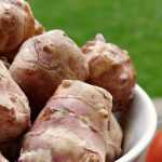 Complete guide to planting and successfully growing Jerusalem artichokes in the garden