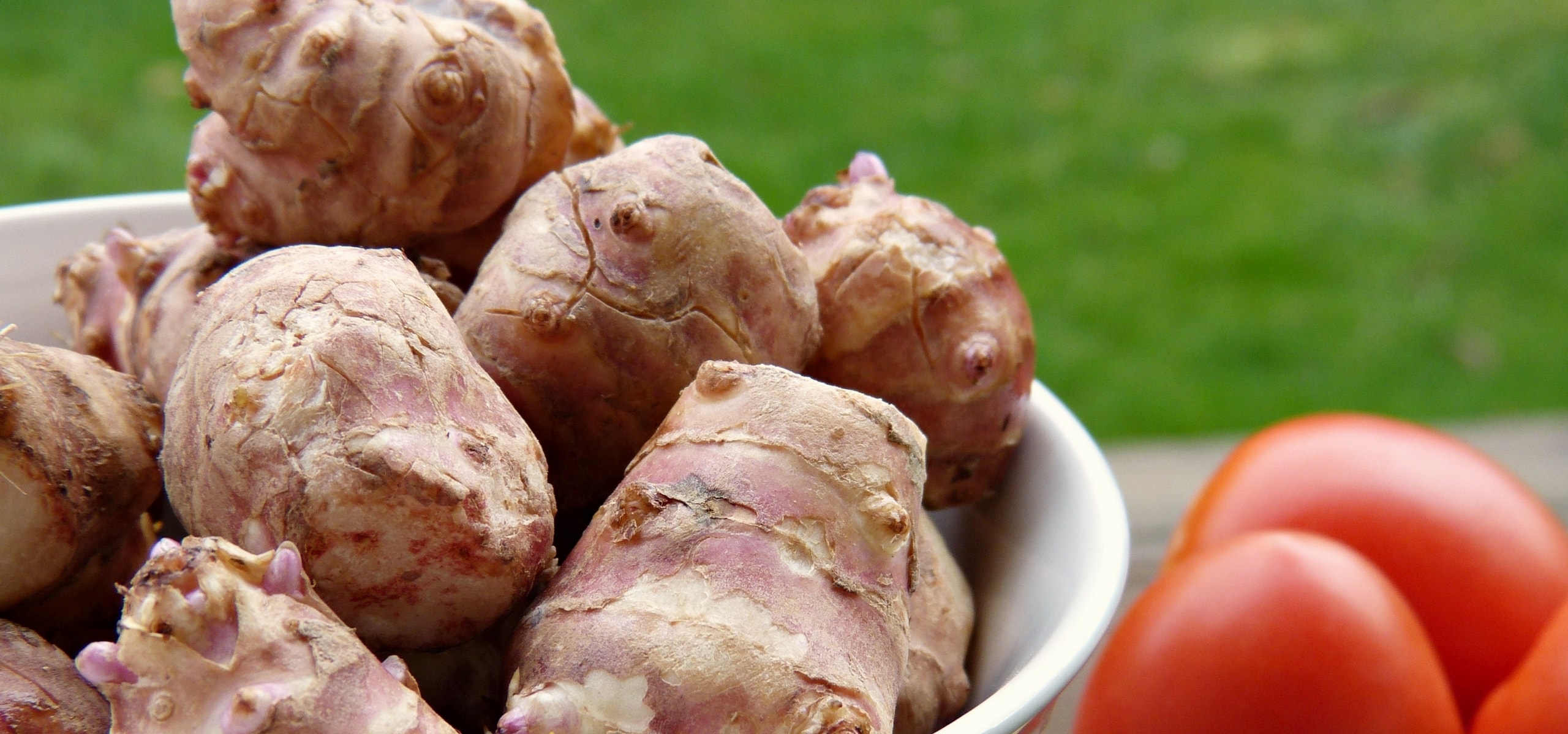Complete guide to planting and successfully growing Jerusalem artichokes in the garden