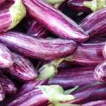 Succeeding in growing aubergines