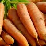 Carrot: sowing, growing, harvesting in the vegetable garden