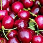 Preserving garden fruits