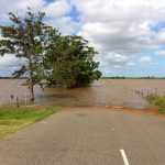 Has your garden been flooded? What should you do after the floodwaters have subsided?