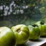 What to do with green tomatoes?