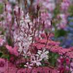 Style and inspiration