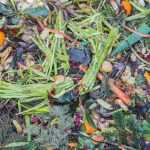 Succeeding with composting in 5 Steps