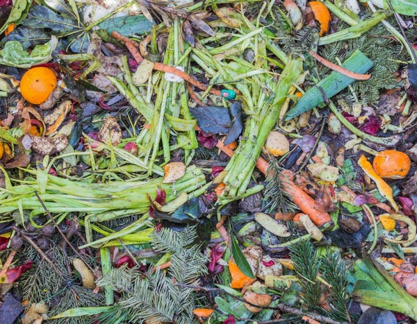 Succeeding with composting in 5 Steps