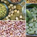 5 good reasons to grow legumes