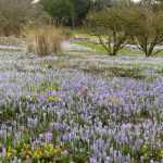 Small bulbs, big impact!