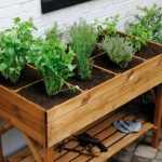 Raised vegetable beds: why and how to build them?