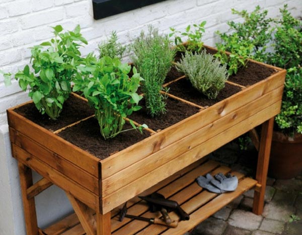 Raised vegetable beds: why and how to build them?