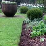 Pruning borders: more of a chore than effective