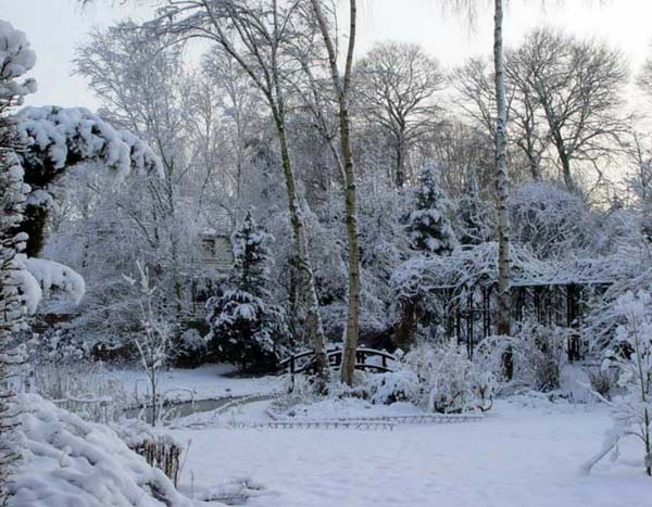 Snow in the garden: great benefits or a real headache?