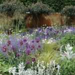 Comment to create a beautiful perennial border