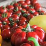 How to ripen the last fruits and vegetables from the vegetable garden