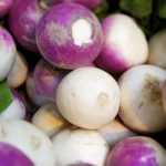 Turnip: sowing, growing and care