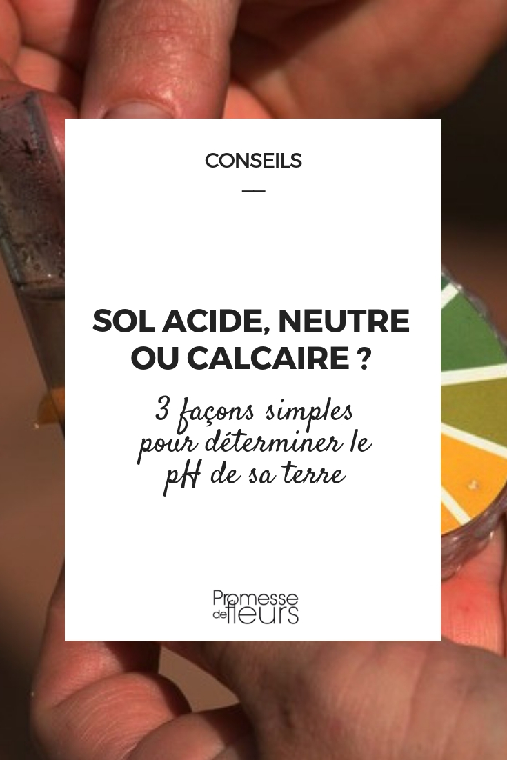 Determine the pH of Your Soil