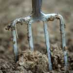 Turning the soil: good or bad practice?