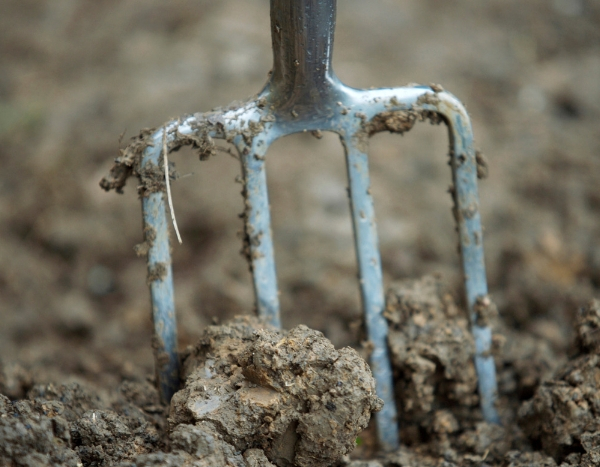 Turning the soil: good or bad practice?