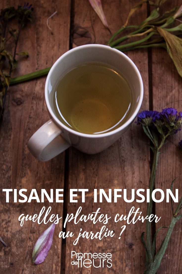 Herbal Tea and Infusion