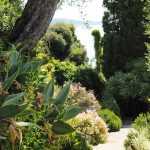 Mediterranean garden: 10 iconic plants to landscape it