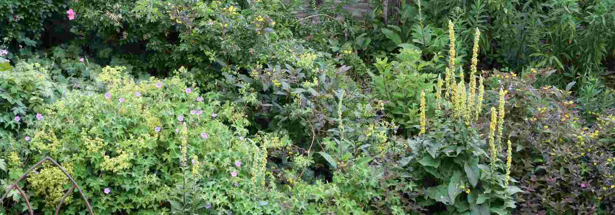 How to landscape a sloping garden?