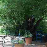 How to design a long and narrow garden?