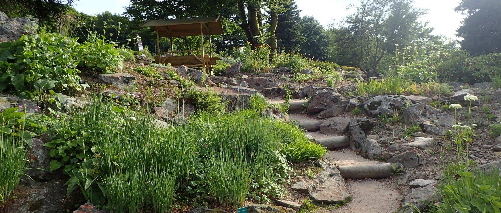Create a rockery: our tips to get it right