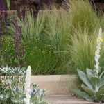 Gardening in dry or free-draining soil: all our tips