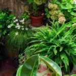 Transform a courtyard into a charming garden: ideas and tips
