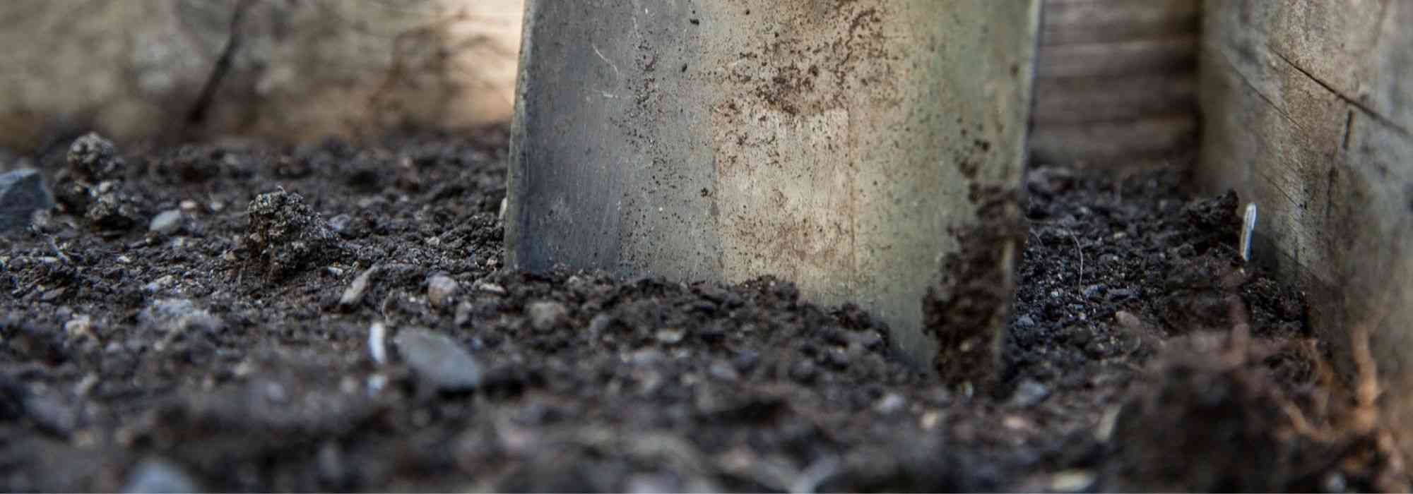 Gardening in acidic soil