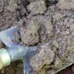 Soil fertility: rich or poor, how to tell?