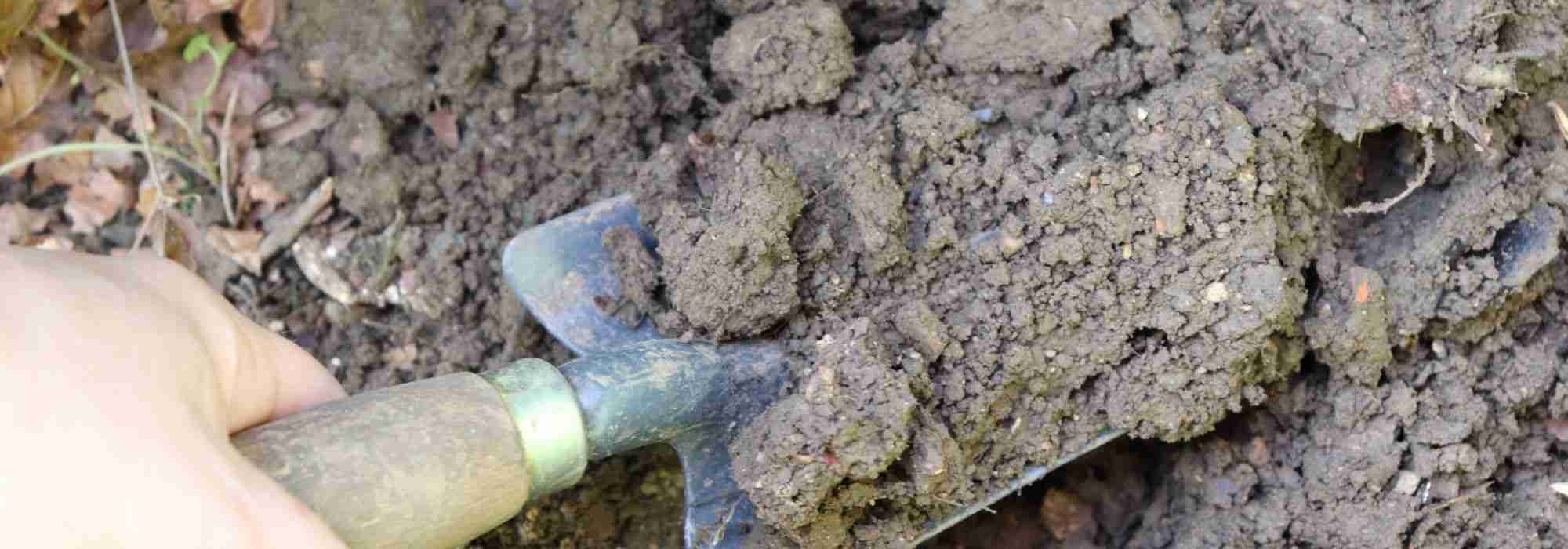 Soil fertility: rich or poor, how to tell?