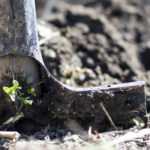Gardening in heavy, wet soil