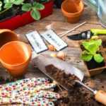 5 ways to get plants for free