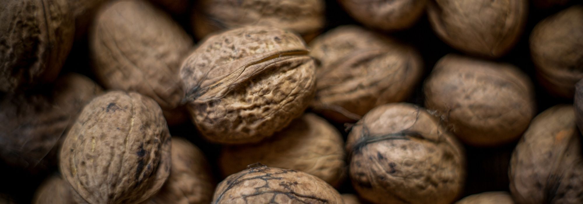 Walnut, Juglans regia: planting, pruning and care