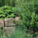 Create a spiralled herb garden