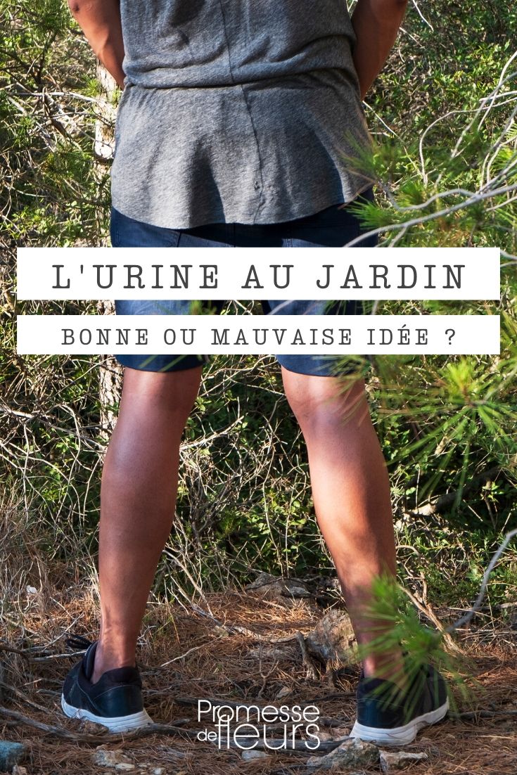 Using Urine in the Garden