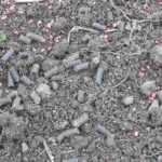 Pelleted manure: how to use it well in the garden?