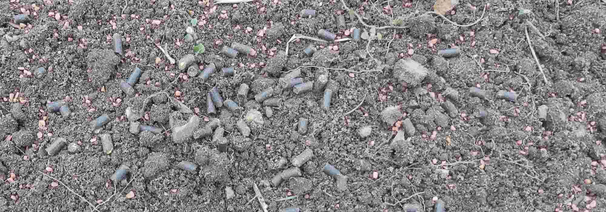 Pelleted manure: how to use it well in the garden?