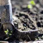 Fertiliser or soil amendment: what's the difference?