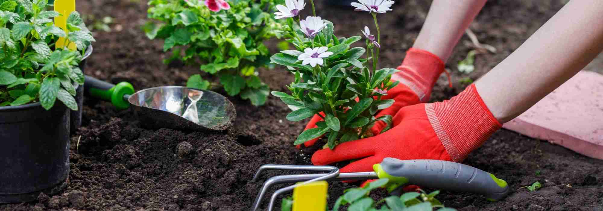 Gardening: how to avoid accidents?