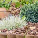 Which mulch for a slope or sloping bed?
