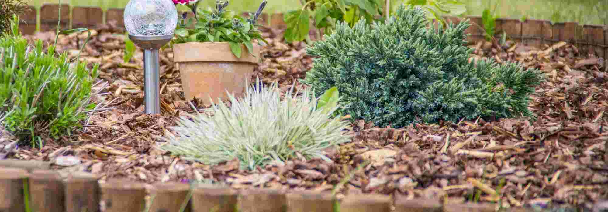 Which mulch for a slope or sloping bed?